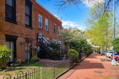 Washington DC 'de peyzaj ve kiraz çiçekleri olan kırmızı tuğlalı kaldırımlar.
