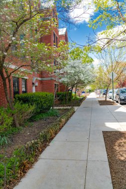 Washington DC 'de peyzaj ve kiraz çiçekleri olan kırmızı tuğlalı kaldırımlar.