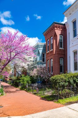 Washington D.C. 'deki geleneksel konak evleri boyunca kırmızı tuğlalı kaldırım.