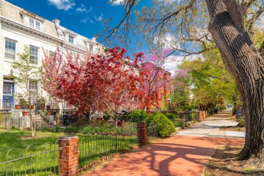 Washington DC 'nin ön bahçesinde peyzaj olan geleneksel şehir evleri sırasına dizilmiş tuğla kaldırım..