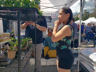 Bahar çiftçilerinin pazarında satılık marihuana tohumları..
