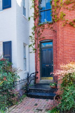 Washington DC 'de peyzaj ve kiraz çiçekleri olan kırmızı tuğlalı kaldırımlar.