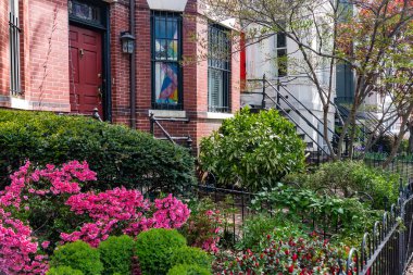 Washington DC 'deki kırmızı tuğlalı ev girişinde güzel bir peyzaj var..