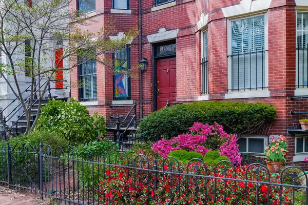 Washington DC 'de ön bahçesinde peyzaj olan bir dizi ev..