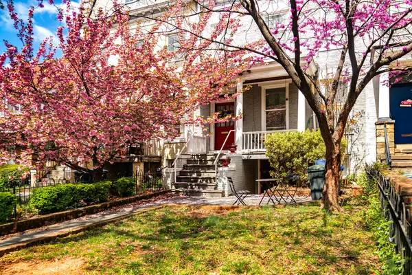 Evin ön bahçesinde çimenlik ve girişi olan bir avlu..