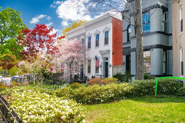 Washington DC 'de ön bahçesinde peyzaj olan bir dizi ev..