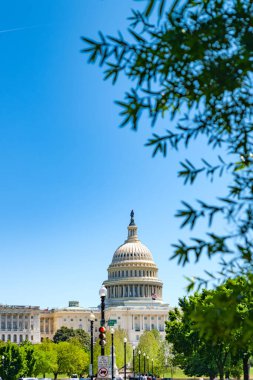 Washington DC 'deki mavi gökyüzüne karşı ağaçların yaprakları arasından ABD Kongre Binası manzarası