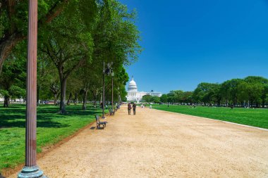 Washington, DC 'deki Capitol binasının önünde yürüyen turistler. 