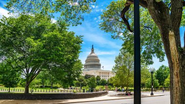 Washington DC 'deki mavi gökyüzüne karşı ağaçların yaprakları arasından ABD Kongre Binası manzarası