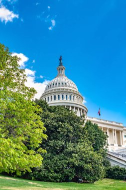 Washington 'daki Kongre Binası' nda sadece yeşil ağaçların arkasındaki kubbeyi görebilirsiniz..