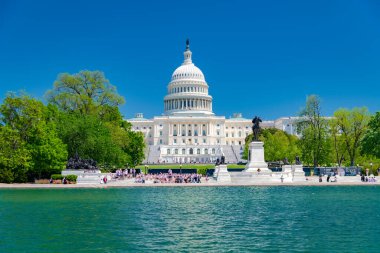 Havuzun önündeki Amerikan Kongre Binası. Capitol yeşil ağaçlar ve mavi gökyüzü ile çevrilidir..