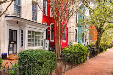 Washington 'daki Capitol Hill' deki konak evleri, kırmızı tuğlalı kaldırım ve ön cepheler..