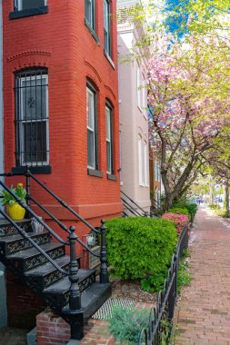 Şehir cazibesi ve bahar tazeliği. Washington, Capitol Hill 'deki tarihi konutlar.