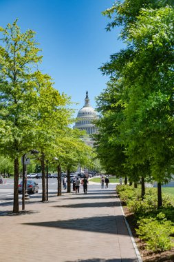 Pennsylvania Bulvarı 'ndan Washington' daki ağaç yaprakları arasından Capitol Binası 'nın görüntüsü..