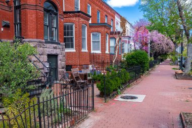 Washington DC 'de mimarlık mirası. Sessiz bir Capitol Hill bloğunda parlak yüzler ve çiçek açan ağaçlar..