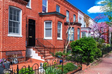 Başkent Hill 'de bahar, Washington, DC. Tarihi bir bölgede renkli evler ve sakin bir atmosfer.