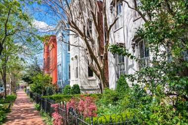 Huzurlu bir Capitol Hill caddesi tarihi Roma 'lar sıralanır. Washington DC 'nin mimari kimliği sergileniyor