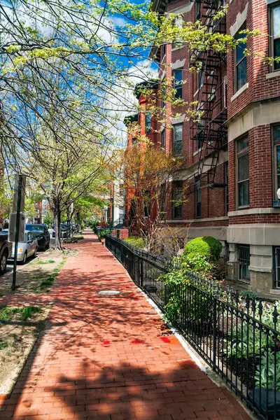 Washington DC 'nin göbeğindeki renkli evler. Iconic Capitol Hill caddesi, zamansız cazibesiyle.