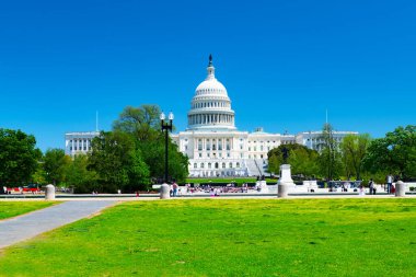Washington, D.C. 'deki Capitol binasında açık bir gökyüzünün altında yeşil yapraklarla çevrili büyük yeşil bir çimen var..