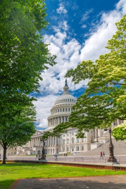 ABD başkentindeki Capitol binasındaki ağaçların yaprakları arasından bakın..