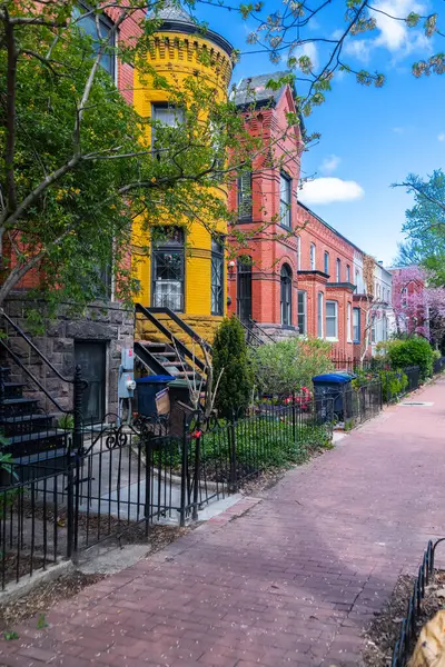 Capitol Hill mahallesindeki klasik tuğla evler. Canlı ağaçları olan huzurlu bir yerleşim yeri..