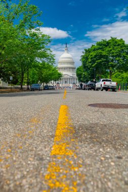 Washington 'daki Capitol binasına giden yol yeşil ağaçlarla çevrili. Yaz ve mavi gökyüzü.