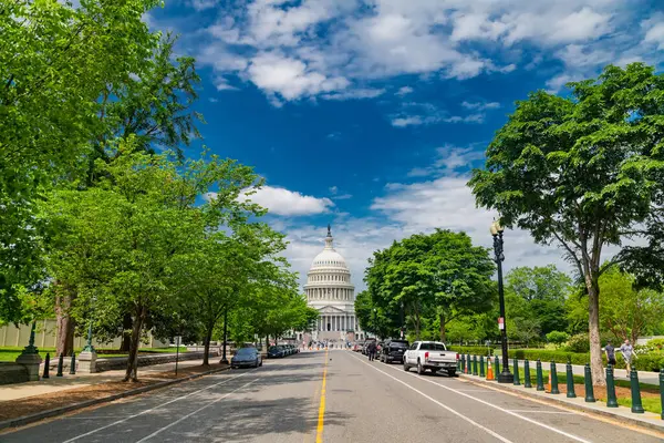 Başkent Washington 'da, mavi gökyüzüne karşı yeşil yapraklarla çevrili..