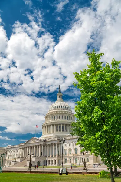 Capitol ve Senato binası yeşil ağaçlarla çevrili. Yaz ve mavi gökyüzü.