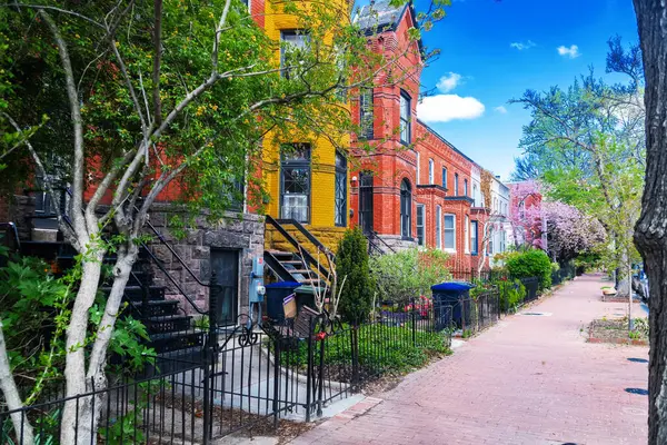 Washington 'daki Capitol Hill' deki renkli genelevler. Tarihsel cazibe ve bahar çiçekleri.