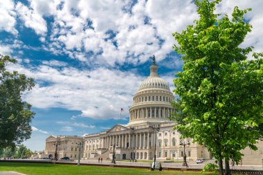 Washington, Kolombiya Bölgesi 'ndeki Meclis ve Senato Binası' nın yeşil ağaç dalları üzerinden görüşü.
