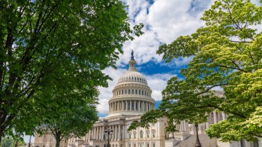 Washington 'daki Capitol Kubbesi' nin yemyeşil ağaçlarının arasından bakın..
