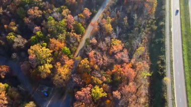 Göl manzarası, renkli sonbahar ormanı ve orman boyunca uzanan otoyol. Virginia 'nın sonbahar doğasının havadan görünüşü.