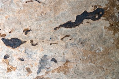 Paslı turuncu ve kahverengi organik doku. Soyut kompozisyonlar için mükemmel.