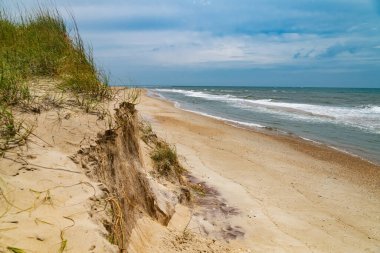 Deniz Çimenli Sahil Sükuneti. Huzurlu deniz kıyısı ve yumuşak sörf.