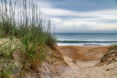 Kuzey Carolina 'da Atlantik Okyanusu yakınlarında bulutlu bir gökyüzünün altında çimenli kum tepeleri.