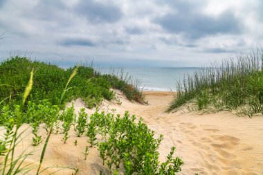 Atlantik Okyanusu 'nun üzerinde mavi bulutların altında çimenli kıyı kum tepeleri.