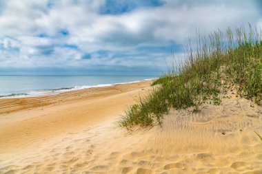 Mavi bulutlu gökyüzünün altında çimenleri olan sahil kum tepeleri.
