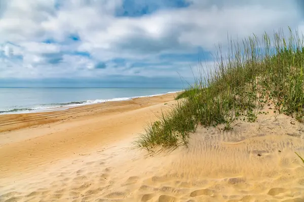 Coastal sand dunes with grass under blue overcast sky.