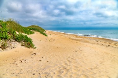 Kum tepeleri, çimenler ve Atlantik okyanusunun dalgalarıyla kumsal sahnesi.