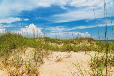Doğal Sahil Hattı Kaçışı. Mavi gökyüzü ve rüzgârlı otlarla ıssız bir sahil.