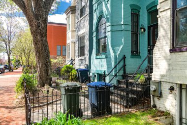 Capitol Hill Caddesi Manzarası. Tarihi binalar ve çiçek açan ağaçlarla huzurlu bir yerleşim yeri..