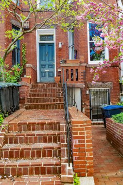 Capitol Hill 'deki Şehir Zarafeti. Geleneksel DC sıra evleri ikonik merdiven ve yeşillik.