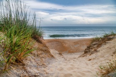 Okyanus kıyısında bulutlu bir gökyüzünün altında çimenli sahil kum tepeleri..