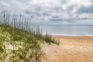 Çimenli kum tepeleri ve Kuzey Carolina 'da Atlantik Okyanusu' nda bir plaj..