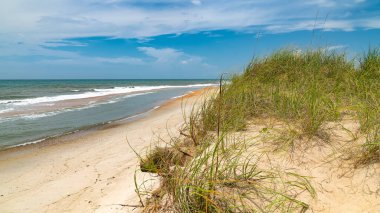 Sandy Dunes ve Ocean Breeze. Bir yaz gökyüzünün altında huzurlu bir sahil manzarası.
