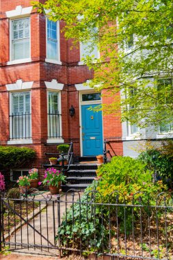 Washington DC İlkbahar Cephesi Çiçek açan ağaçla