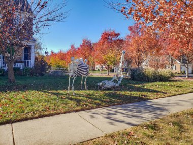 Banliyö Çimlerinde Cadılar Bayramı İskelet Dekorasyonları