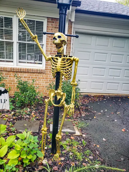 Banliyö Çimlerinde Cadılar Bayramı İskelet Dekorasyonları