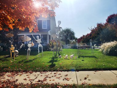 Cadılar Bayramı için geri sayım başlıyor. İskeletler bile eğlenceyi bekleyemez.