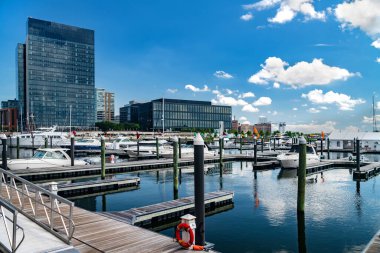 Baltimore limanında tekneler, yatlar, yat limanları ve modern yüksek binalar var..